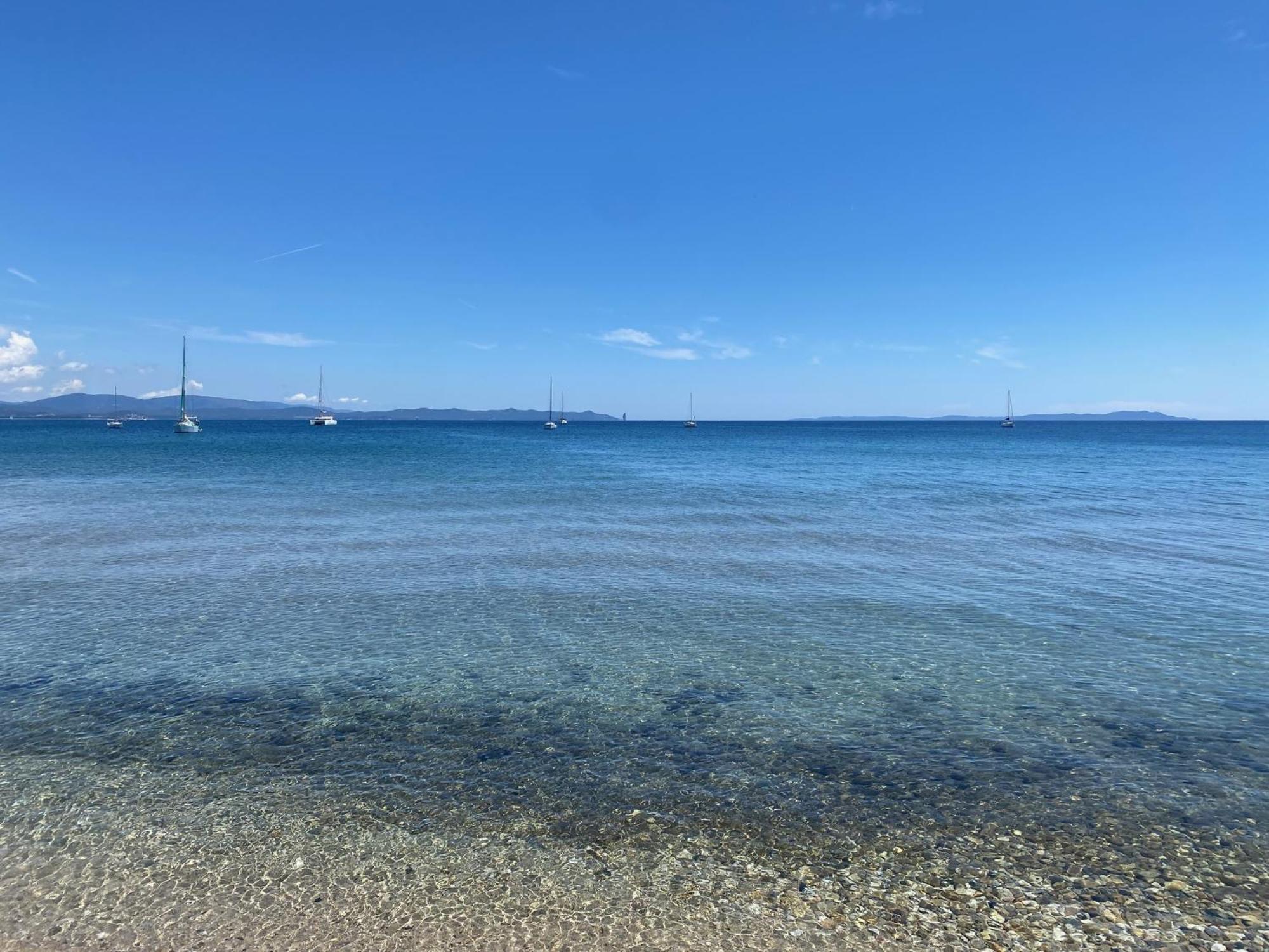 Appartement Les Cigales Rez De Jardin A 10Mn Des Plus Belles Plages Hyères Exteriér fotografie